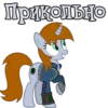 I'm Littlepip 24