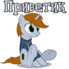 I'm Littlepip 25