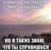 жиза 27