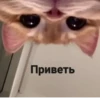 Стики из 28