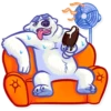 Polar Bear 26