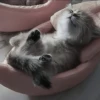 Стикеры тYт: 25