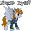 I'm Littlepip 26