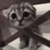 Стикеры тYт: 26