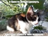Я просто хочу отдохнуть Я не хочу убивать мне надоело