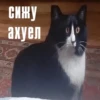 Стики 8193 из 29
