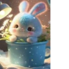 Bunny cute 23