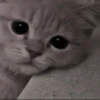 Стикеры тYт: 27