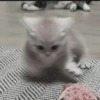Стикеры тYт: 28