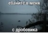 жиза 28