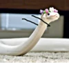 SNAKES 30
