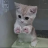 Стикеры тYт: 29