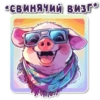 поросR 🐽 6