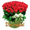 Yadibil7331 6