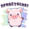 поросR 🐽 9