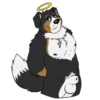 Lucas the Bernese and Friends 6