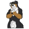 Lucas the Bernese and Friends 7