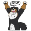Lucas the Bernese and Friends 10