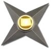 Spinner 13