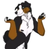 Lucas the Bernese and Friends 13