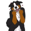 Lucas the Bernese and Friends 15