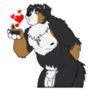 Lucas the Bernese and Friends 16