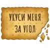 Spicy Cookie 16