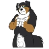 Lucas the Bernese and Friends 17
