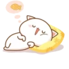 Peach Goma Cats 15