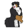 Lucas the Bernese and Friends 18