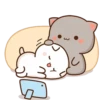 Peach Goma Cats 21