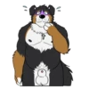 Lucas the Bernese and Friends 20