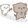 Peach Goma Cats 22