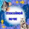 Спать - 20