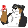 Lucas the Bernese and Friends 21