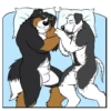 Lucas the Bernese and Friends 22