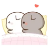 Peach Goma Cats 24