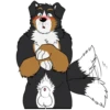 Lucas the Bernese and Friends 25