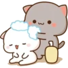 Peach Goma Cats 26