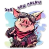 поросR 🐽 29