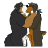 Lucas the Bernese and Friends 27