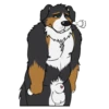 Lucas the Bernese and Friends 29