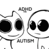 Adhd kitty U 5