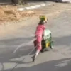 MONKEY 8