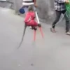 MONKEY 9