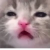 QbaJPahcFrkvmIE_by_stickers_stealer_bot 5