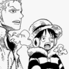 Luffy 8
