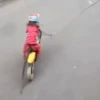 MONKEY 12