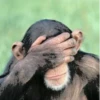 MONKEY 14