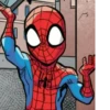 Spiderman Comics 12